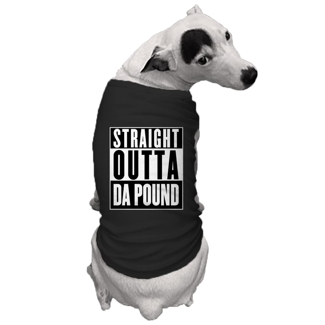 Straight Outta Da Pound - Rescue Dog Shirt (Black, Large)