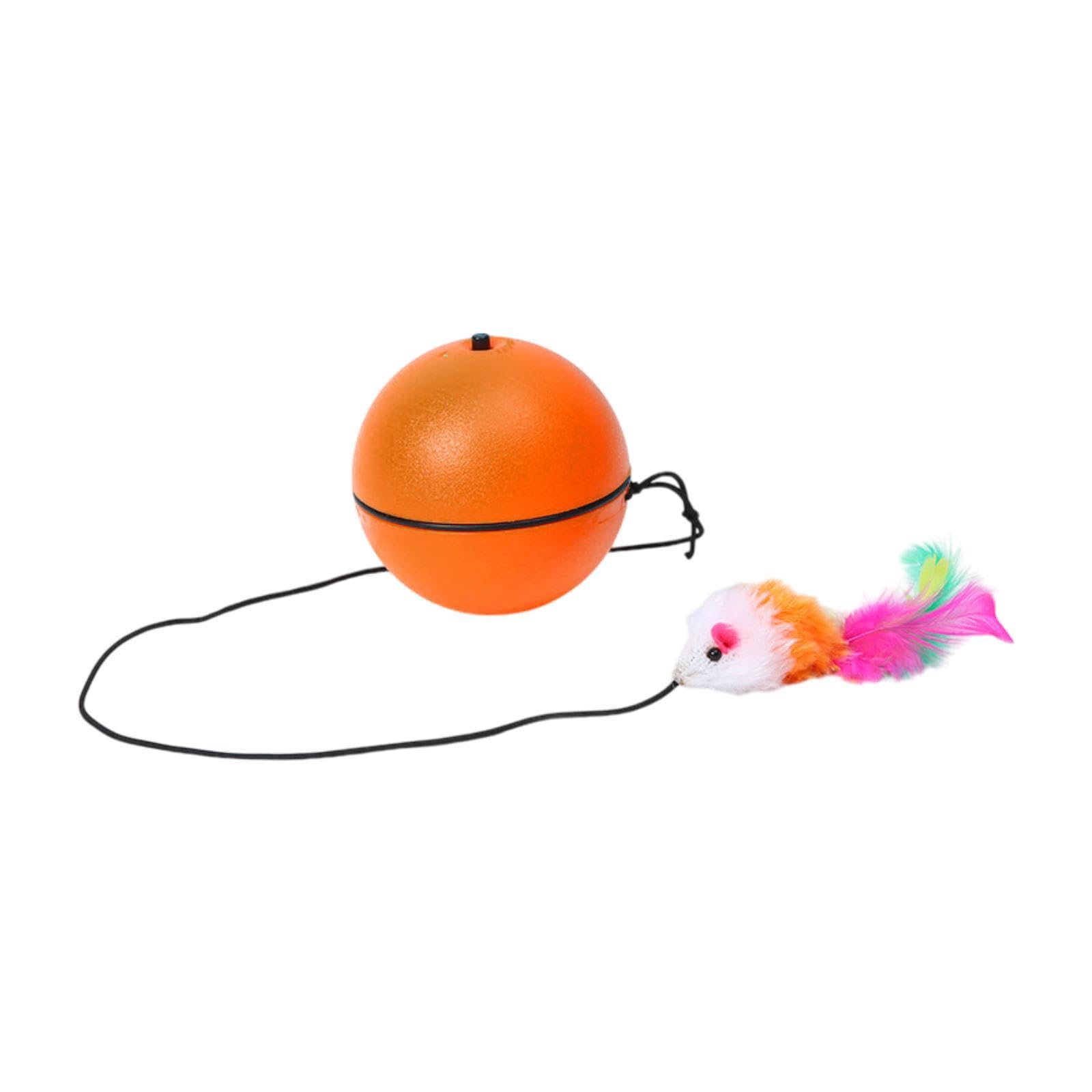 Ecomistiq Automatic Rolling Interactive Ball Toys Avoidance Cat For Training Gift Orange| Toys| Supplies |Pet