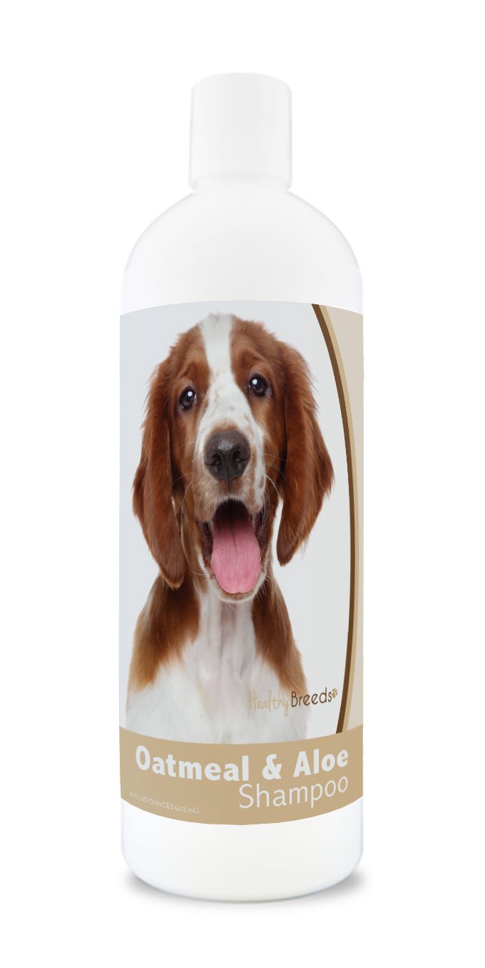 Healthy Breeds Aloe & Oatmeal Dog Shampoo Flea And Tick For Welsh Springer Spaniel - Over 200 Breeds - 16 Oz - Mild & Gentle For