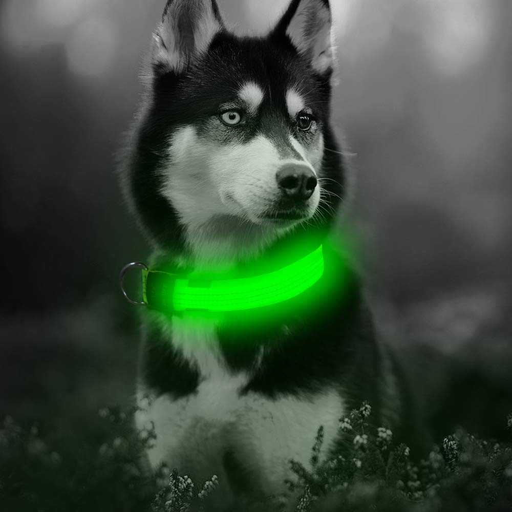 Illumifun Led Dog Collar, Nylon Reflective Light Up Dog Collar, Usb Rechargeable Pet Safety Collar Glow In The Dark (Greenⅲ, Small)