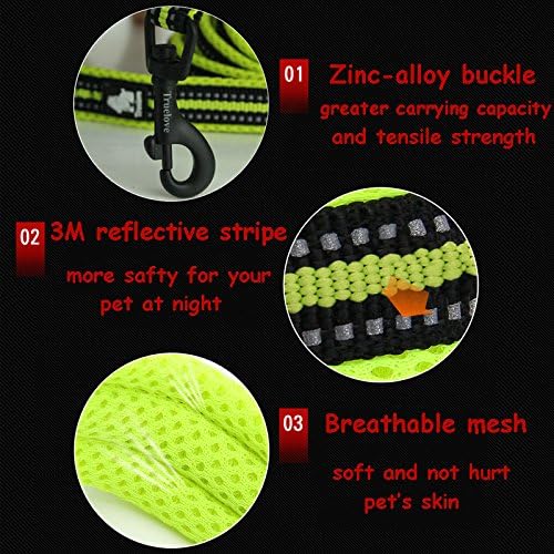 Creation Core Reflective Dog Leash Durable Padded Pet Leash Strap For Puppy Pet Leash Rope, Orange 6.5Ft Long 1' Wide