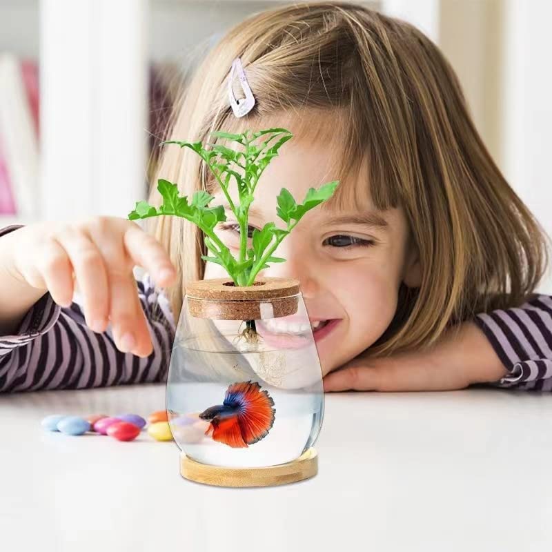 Desktop Fish Bowl Clear Glass Small Fish Tank with Wood Lid and Bamboo Stand for Betta Fish Plants Terrarium Home Office Decorat