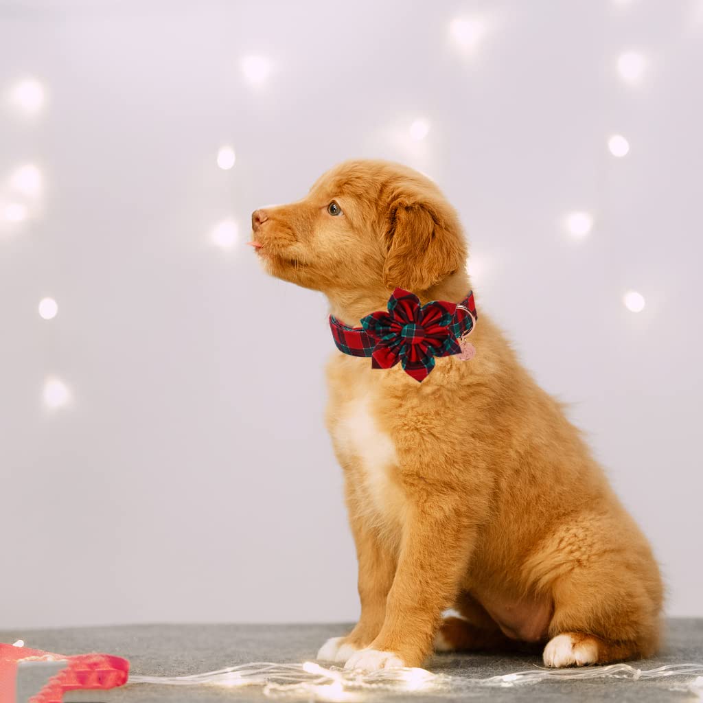 Dogwong Christmas Dog Collar With Flower, Red Plaid Dog Collar Soft Durable Adjustable Cotton Red Green Tartan Puppy Collar For