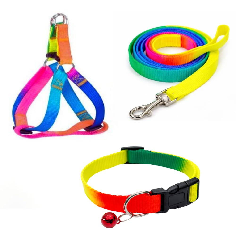 Dog Trust Colourful Adjustable Nylon Puppy Leash Harness And Collar Combo, Suitable For Puppy 15 Mm Multicolor (Collar + Harness