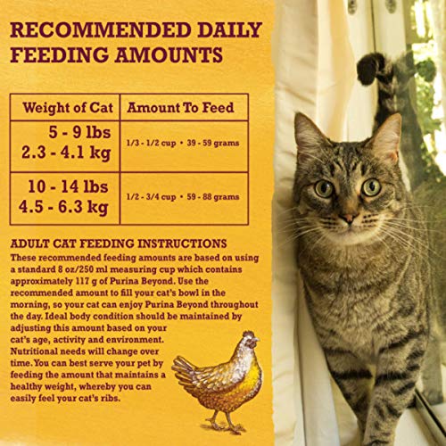Purina Beyond Natural Dry Cat Food Wholesome Ingredients for Whole Health White Meat Chicken and Whole Oat Meal Recipe - 13 lb.