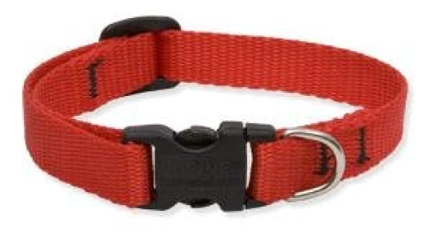 LupinePet Basics 1/2'' Purple 6-9'' Adjustable Collar for Extra Small Dogs