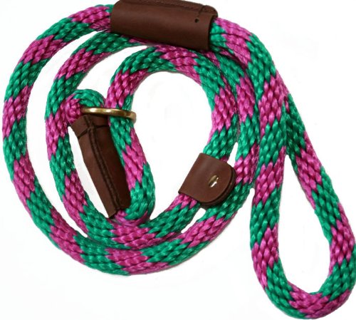 Lone Wolf Slip Lead with Leash and Collar for Pets, 1/2 by 4-Feet, Raspberry Twist Raspberry/Green Spiral
