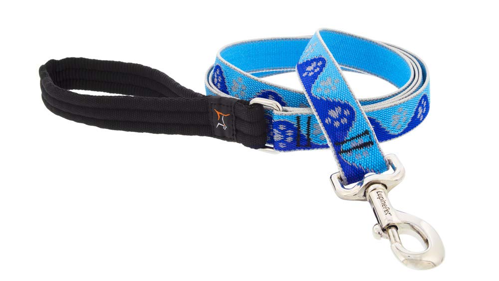Lupine Reflective Dog Leash 6-Foot by 1'' Wide Blue Paws