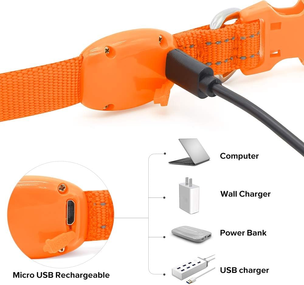 Bseen Light Up Dog Collar, Reflective Led Dog Collar Rechargeable Glowing Puppy Collar For Puppies & Cats,Safety Dog Lights For