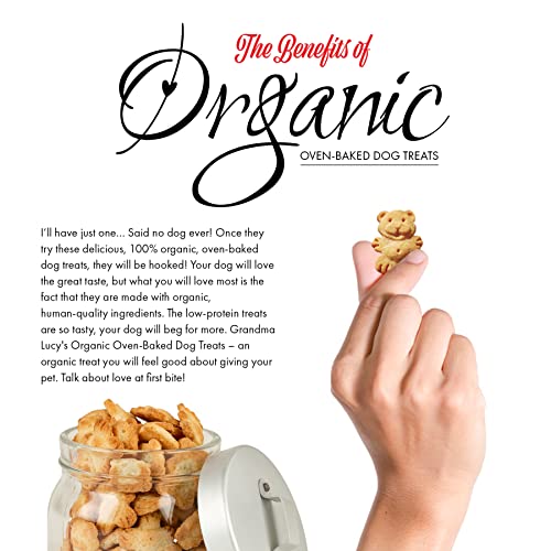 Grandma Lucy's Organic Oven Baked Dog Treats - Apple Flavor, 14 oz, Healthy Snack for Dogs