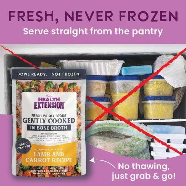 Health Extension Gently Cooked Lamb & Carrot Dog Food, Human-Grade & Shelf-Stable with Superfoods, Supports Digestion, Immunity,