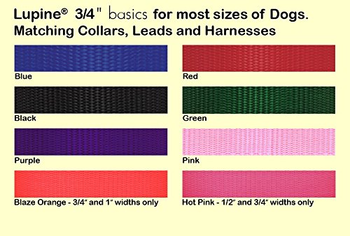 Lupinepet Basics 3/4' Blue 19-31' Containment Collar Strap For Extra Large Dogs