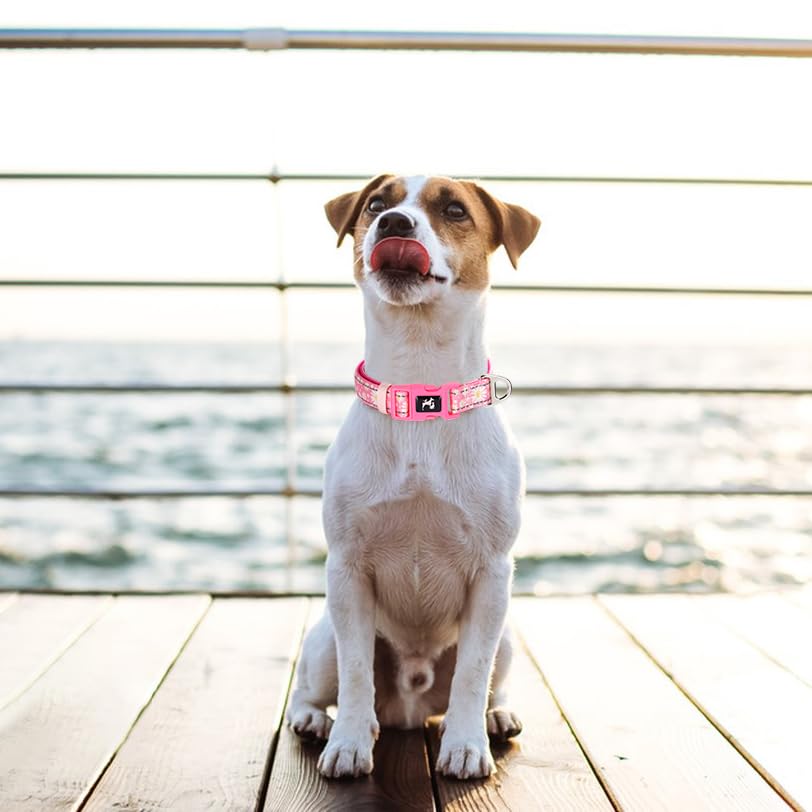 Maowuwujoz Reflective Dog Collar For Large Dogs - Soft Neoprene Padded, Adjustable Nylon Durable With Stylish Pink Daisy Design