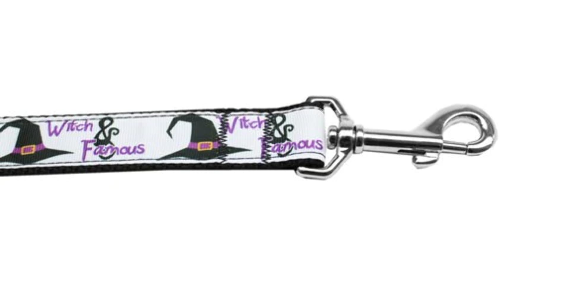 Halloween Pet Dog & Cat Nylon Collar or Leash, "Witch and Famous" XS Collar\