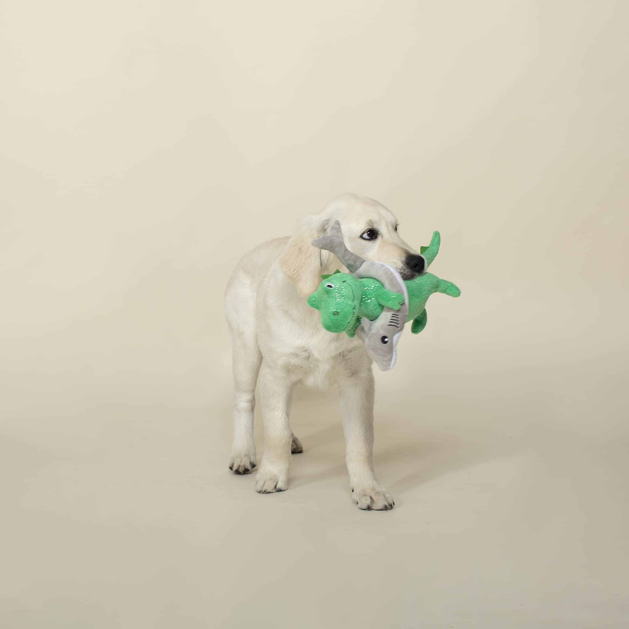Fringe Studio Plush Dog Toy, Shark Week Rex (289879) For All Breed Sizes
