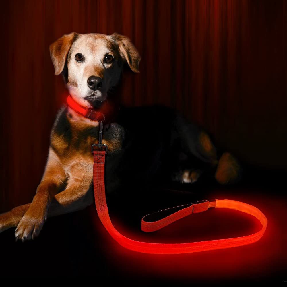 Candofly Reflective Led Dog Leash Rechargeable Pet Leash 4 Ft Dog Rope For Small Medium Large Dogs (Orange)
