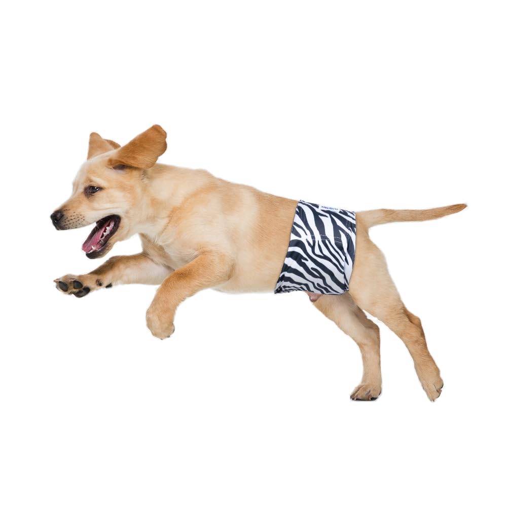 Micooyo Belly Bands For Male Dogs, 3 Pack Reusable Dog Diapers Male For Puppy Doggie, Washable Male Dog Wraps Xsmall (Xl, Grassl