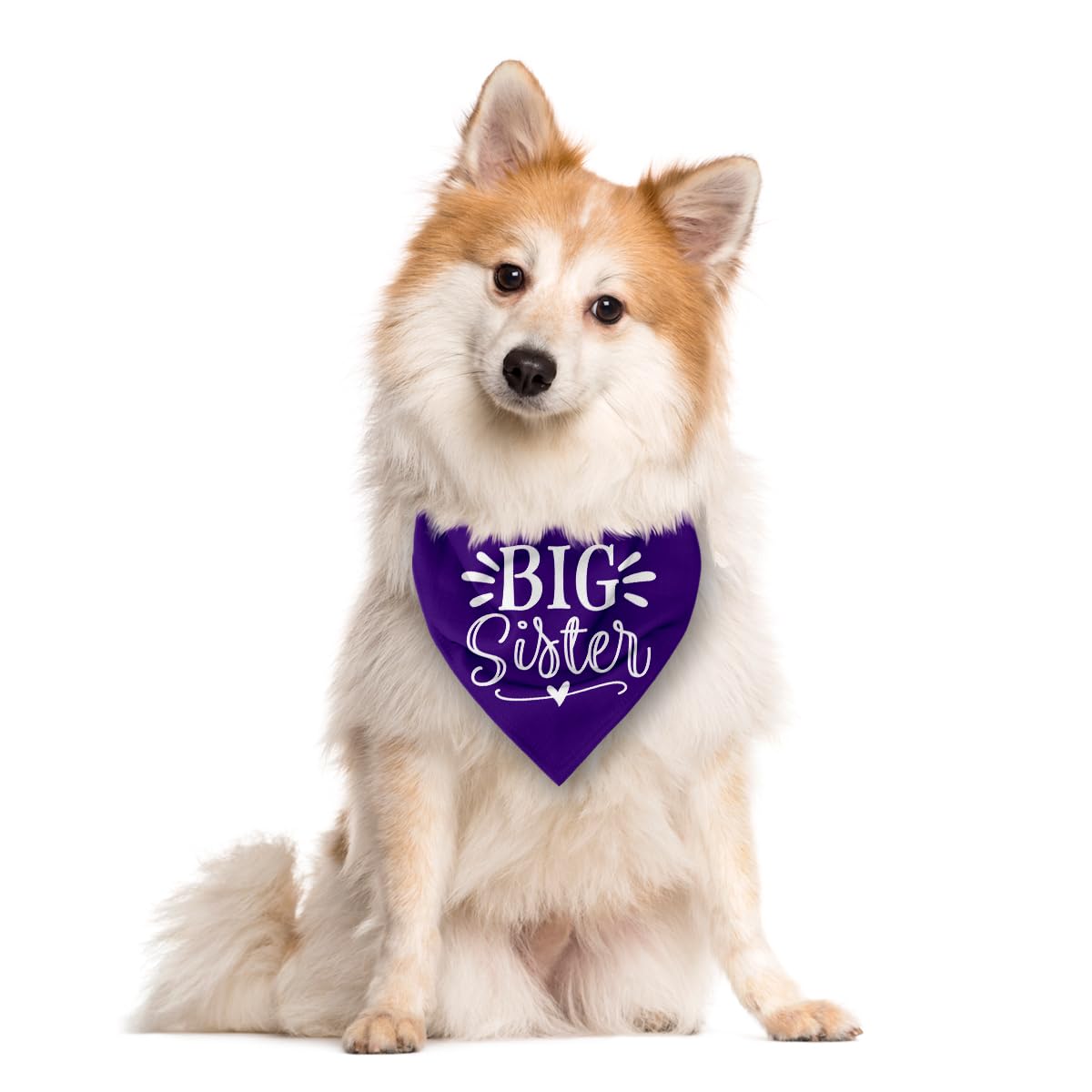 Big Sister Purple Dog Triangle Scarf, Dog Scarf Accessories (L)