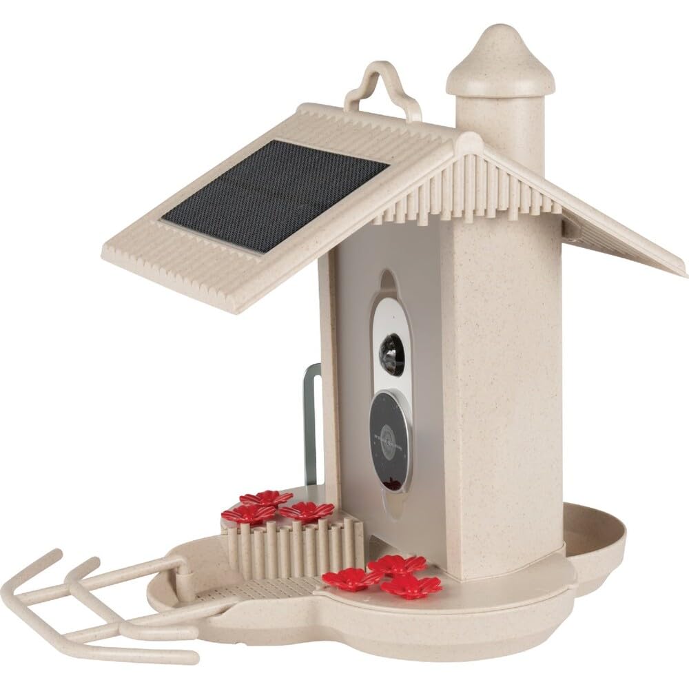 Solar Smart Bird Feeder with 1080P HD Camera