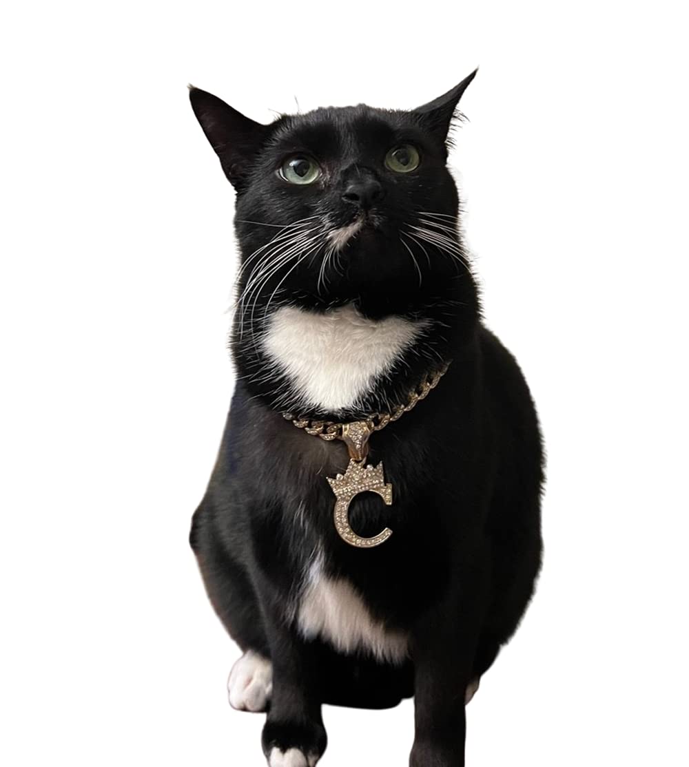 Initial Letter Cuban Chain Dog Chain Pet Chain Pet, Cat, Puppy Necklace (P, 28'')