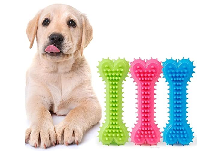 Dog Trust NonToxic Rubber Dog Chew Bone Toy, Puppy/Dog Teething Toy (Medium)  6 Inch