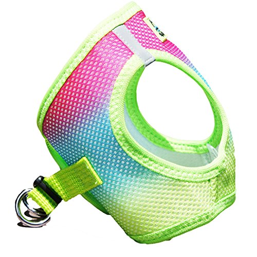 Doggie Design No Choke Dog Harness - Simple Step-In And Go Dog Vest For Small, Medium, And Large Breeds - Breathable Mesh Polyester Pet Harness - Rainbow - Xxs