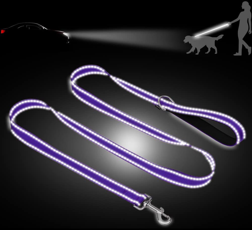 Taglory Double-Sided Reflective Heavy Duty Dog Leash 5Ft,Neoprene Padded Handle And Metal Hook Pet Training Leashes For Small Medium Large Dogs, Purple