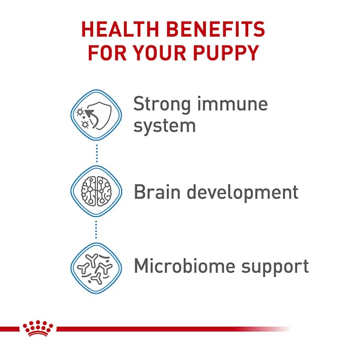 Royal Canin Size Health Nutrition X-Small Puppy Dry Dog Food, 14 lb bag