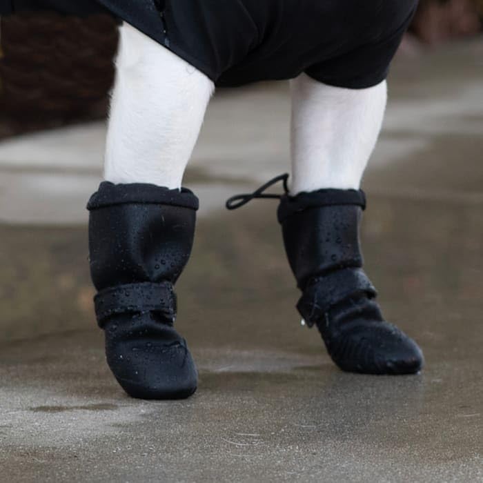 Rainproof Dog Boots - Waterproof By Canada Pooch
