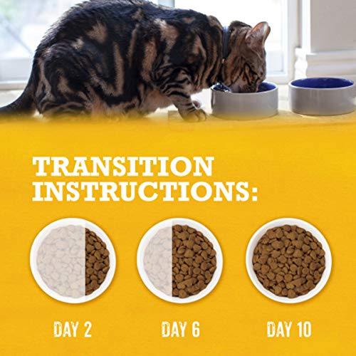 Purina Beyond Natural Dry Cat Food Wholesome Ingredients for Whole Health White Meat Chicken and Whole Oat Meal Recipe - 13 lb.