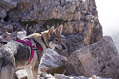 Neewa Sport Harness (Large, Yellow), Padded Dog Harness, With Control Handle, Easy To Put On And Take Off
