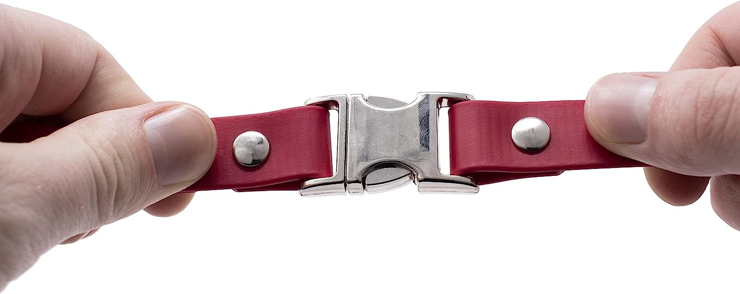 Educator Quick Snap Bungee Dog Collar, Biothane, Waterproof, Odorproof, Easy Connect And Disconnect Clasp And D Ring With Comfort Bungee Loop, Adjustable For Custom Fit, 1-Inch, Red