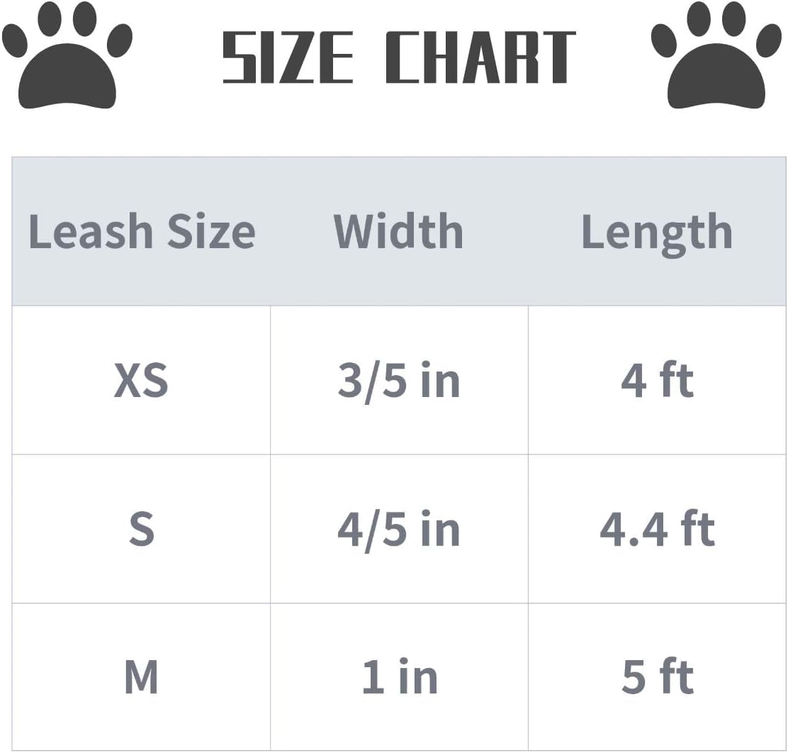 Lionet Paws Dog Leash,Summer Floral Handmade Dog Training Leash Pet Supply For Medium Dog