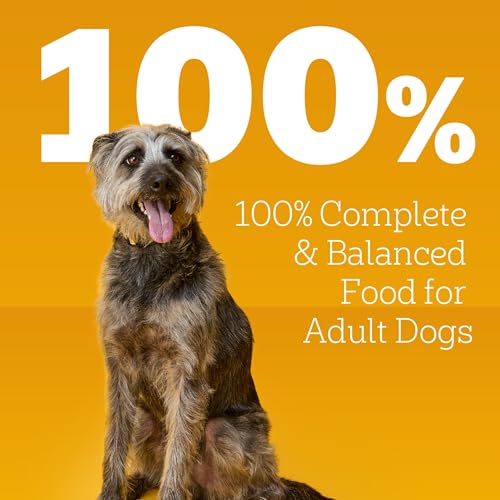 Pedigree Chopped Ground Dinner Wet Dog Food Chicken & Beef Variety Pack, 13.2 oz. Cans (12 Count, Pack of 1)
