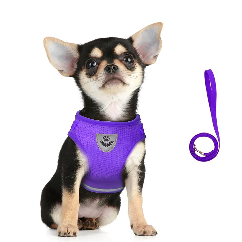 Feimax No Pull Small Cat Harness And Leash Set, Soft Mesh Puppy Reflective Adjustable Harnesses For Walking Escape Proof Cat Kit