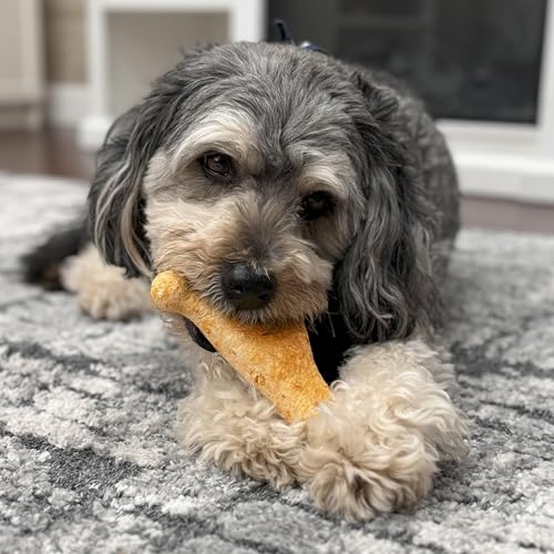 Fieldcrest Farms Nothin to Hide Collagen-Based Dog Chews, Wishbone, Beef Flavor, Ultra-Premium, for Dogs Over 50lbs, Easily Dig