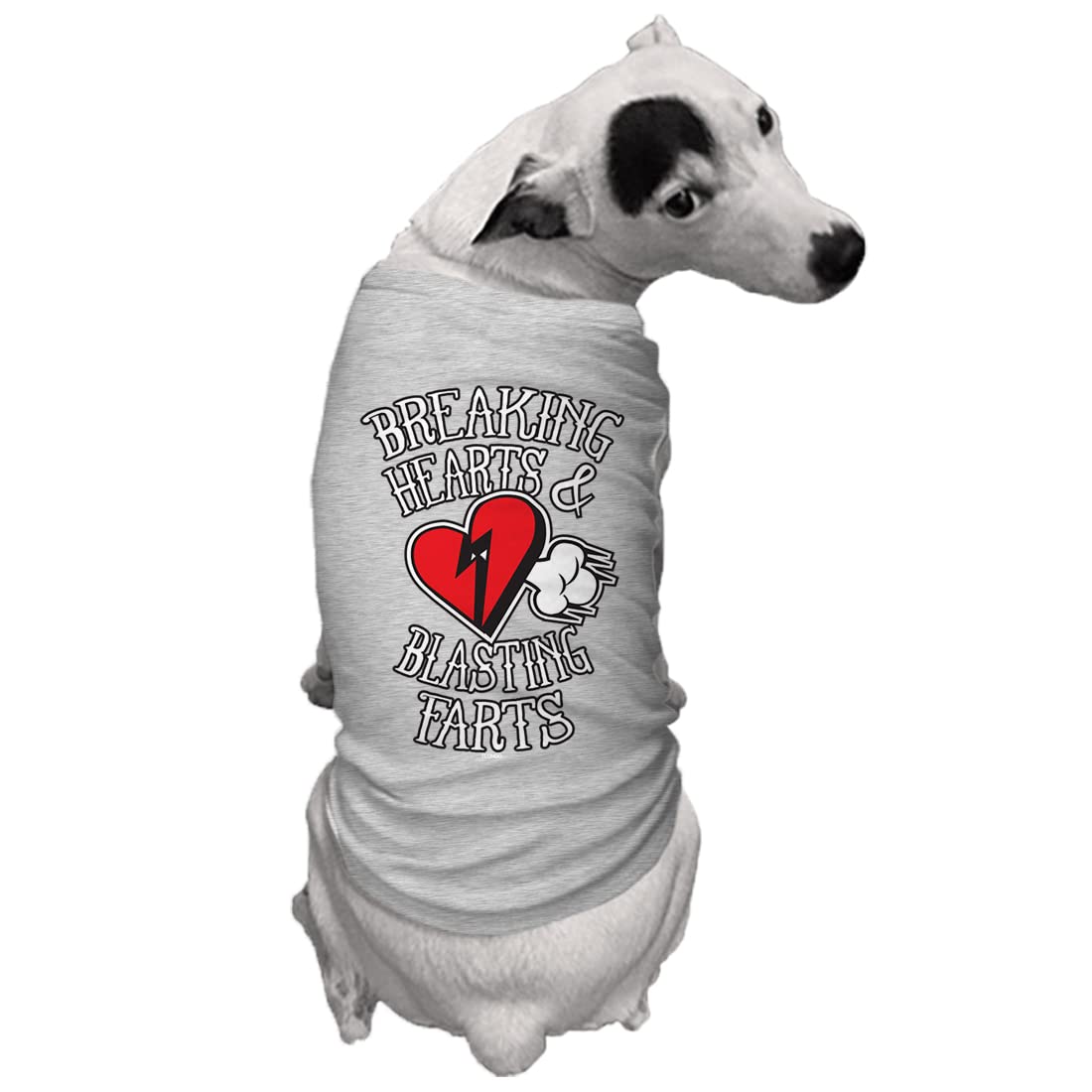 Tcombo Breaking Hearts & Blastings Farts Dog Shirt (Light Gray, Small)