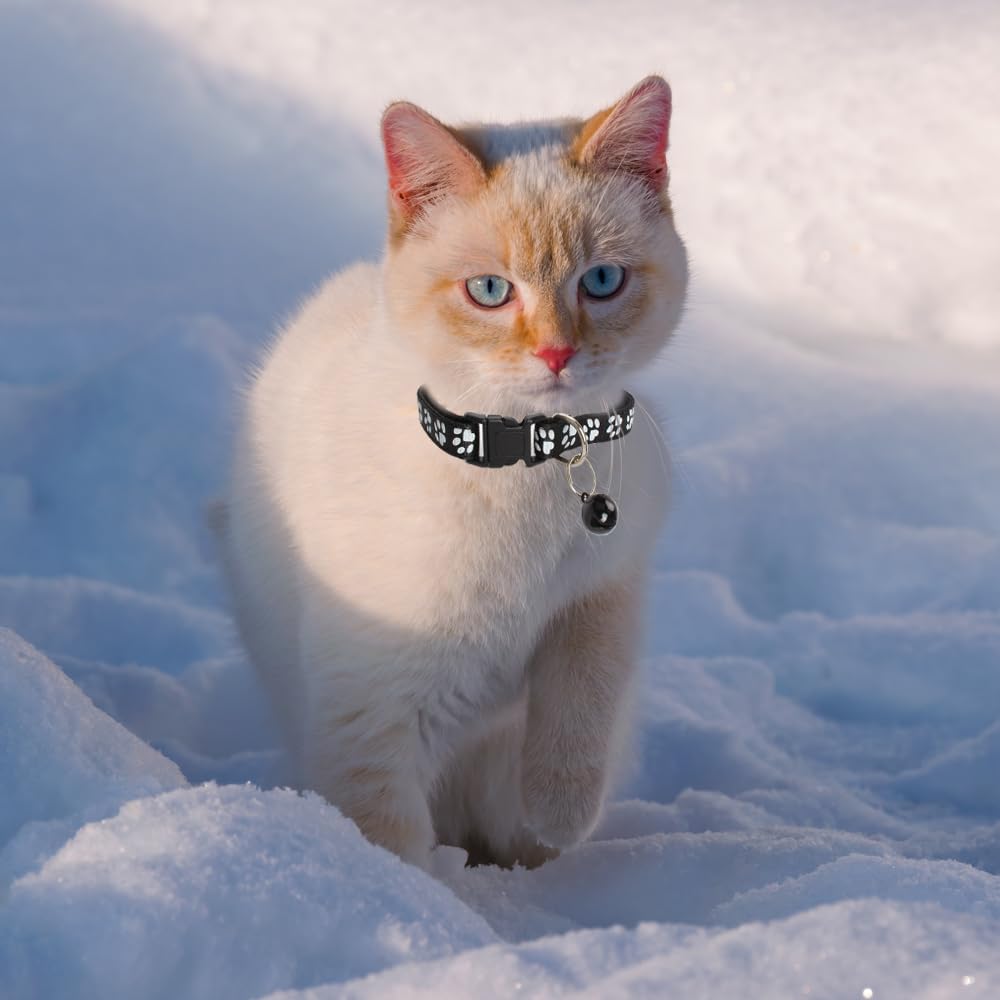 Mjiya Cat Collar With Bell, Breakaway Grid Collar With Plastic Buckle, Light Adjustable, Nylon, Kitty Collars (Black)