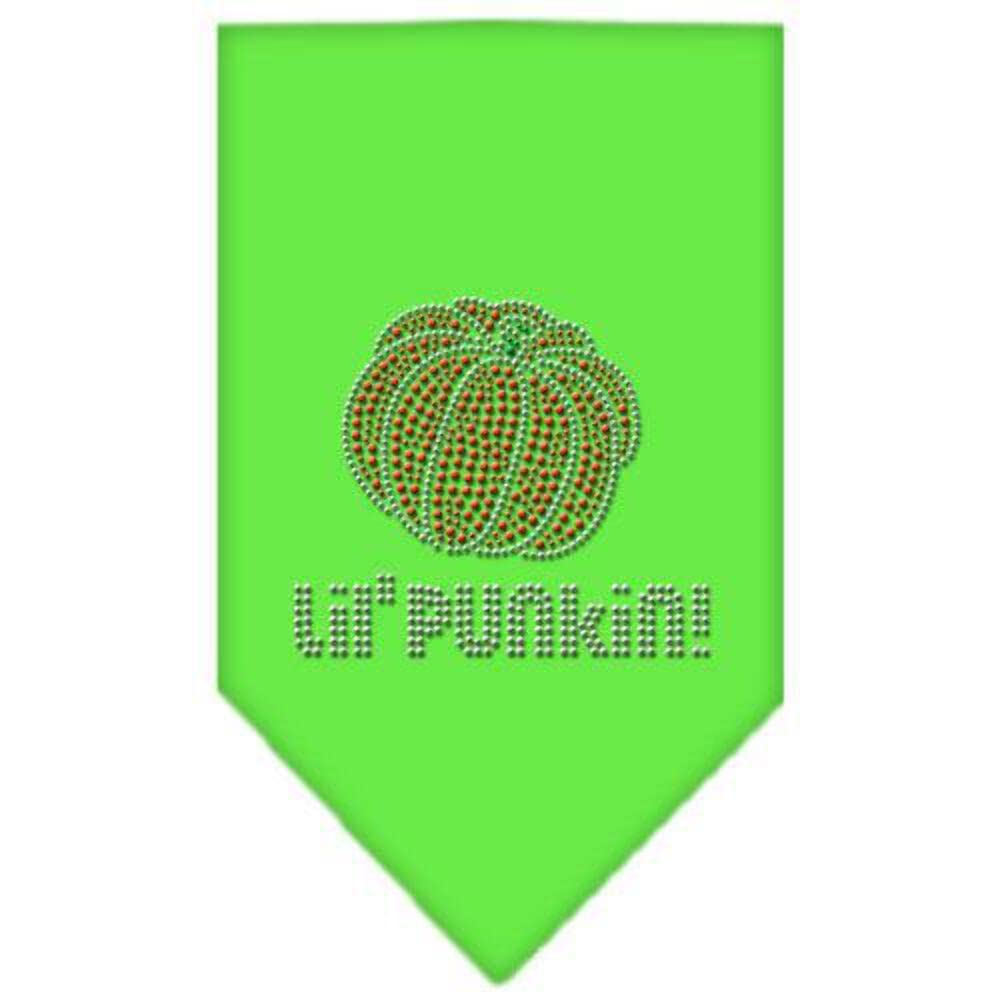 Halloween Pet and Dog Bandana Rhinestone, Lil Punkin Purple Large