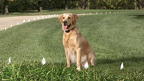 Long Lasting Japanese Powered Battery For All Fence Collars That Use Model Rfa-67 (10 Pack)