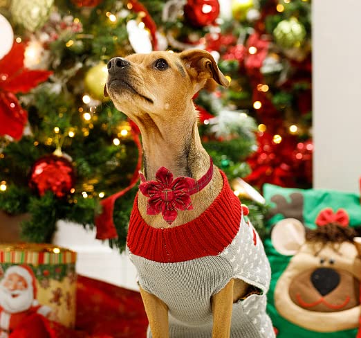 Maca Bates Flower Christmas Dog Collar with Flowers for Dogs Sailor Adjustable Breakaway Collars Accessories Gift for Small Medi