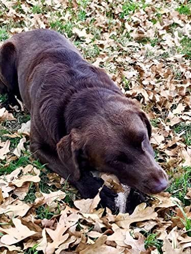 Deer Valley Dog Chews (Large 3 Pack, 6-7 Inches) Premium Deer Antler for Dogs - Ethically-Sourced and Irresistible Dog Chew Toy
