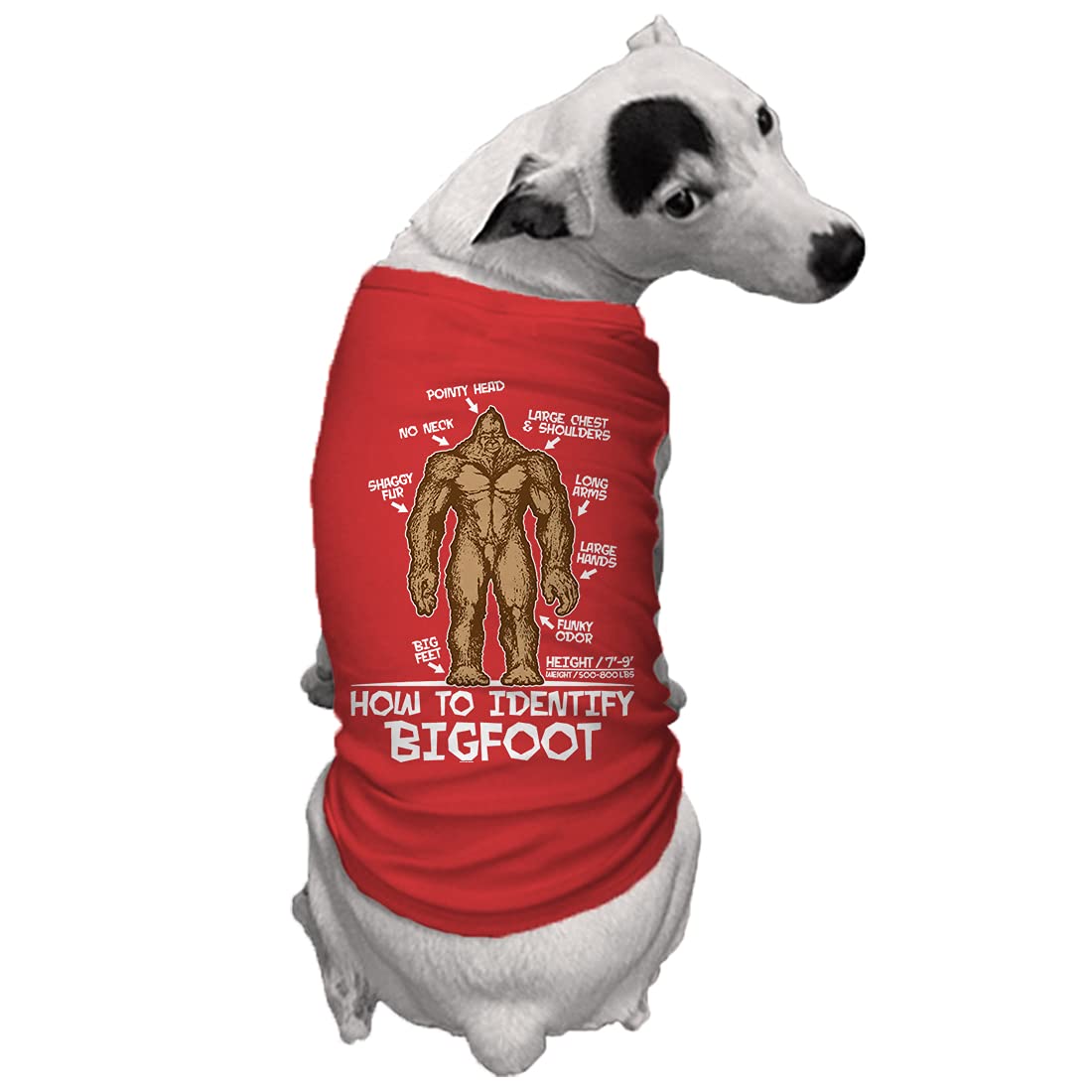 How To Identify Bigfoot - Dog Shirt (Red, 3X-Large)
