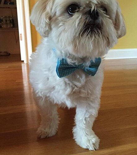 Colorful Polka Dots Bow Tie,Adjustable Bowtie Fashion Accessories for Pet Dog Cat (blue)