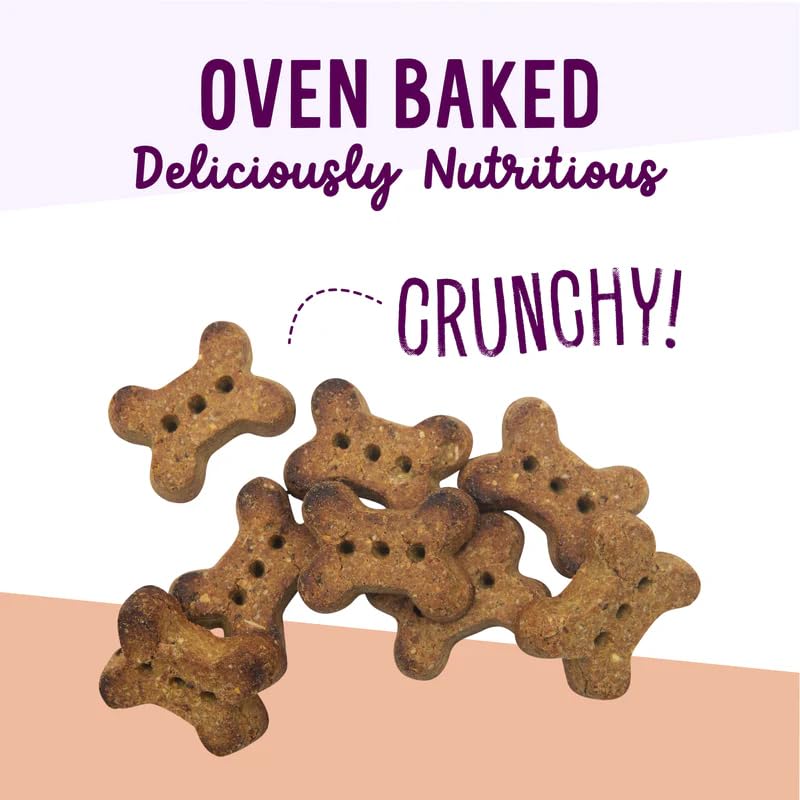 Health Extension Oven-Baked Dog Treats, 6oz (170g), Peanut Butter & Banana Recipe - Gluten & Grain-Free, Superfood-Infused, Crun