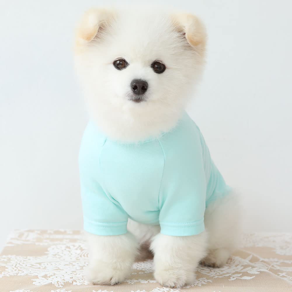 Lucky Petter Dog Shirt For Small Dogs Plain T-Shirts Soft Breathable Dog Cotton Shirt Pet Clothes (Small, Mint)