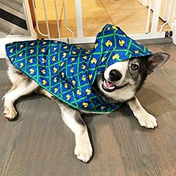 Rc Pet Products Price Incorrect Cartoon Pet Coats, Rubber Ducky, Xxl Us