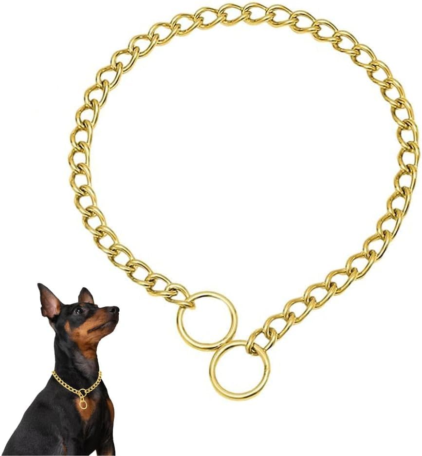 Chain Choke Collar For Dogs, Metal Slip Link Training Heavy Duty Dog Choker Collar Martingale Puppy Collars For Xs Small Medium 