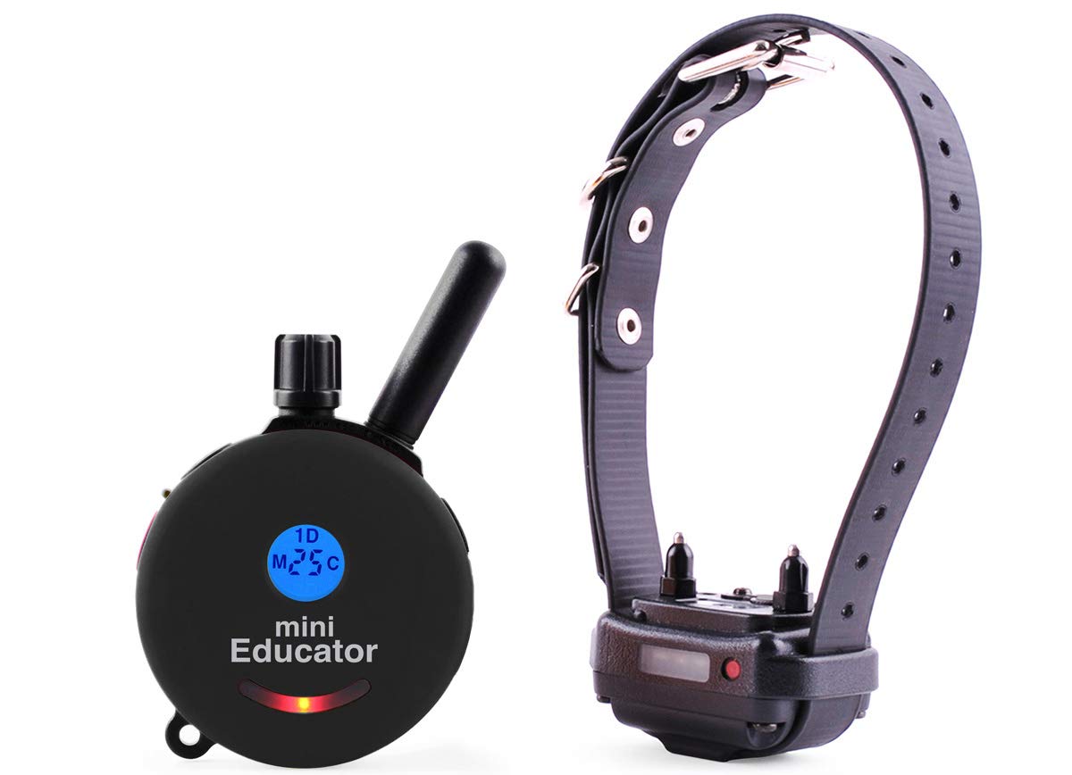 Mini Educator E-Collar Et-300 / Et-302 Dog Training Collar System With Remote - 1/2 Mile Range - Waterproof, Vibration, Sensation - Includes Eoutletdeals Pet Towel (1 Dog System - Et-300 Black)