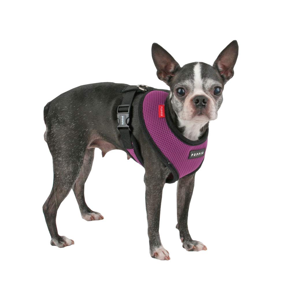 Puppia Soft Dog Harness No Choke Over-The-Head Triple Layered Breathable Mesh Adjustable Chest Belt And Quick-Release Buckle, Purple, Large